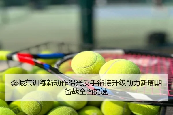 樊振东训练新动作曝光反手衔接升级助力新周期备战全面提速